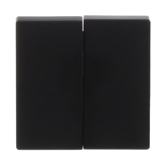 Busch-Jaeger Wippe für Schalter/Taster, 2-fach schwarz matt - Plattform 63