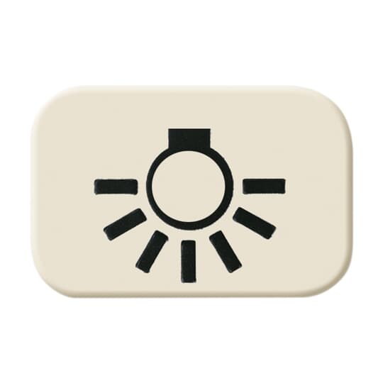 Busch-Jaeger Tastersymbol Licht