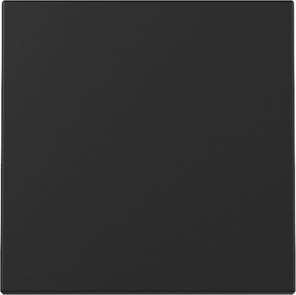 Gira Zentralstück System 55 schwarz matt