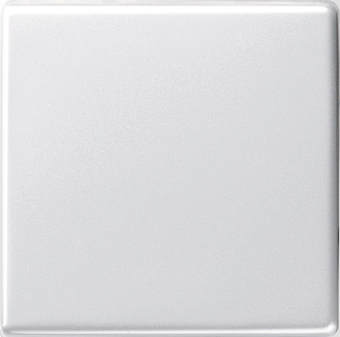 Gira Wippe Wechselsch. rws-gl System 55