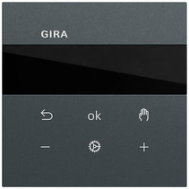Gira Taster System 55 anthrazit lackiert