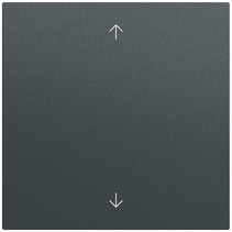 Gira Taster System 55 anthrazit lackiert