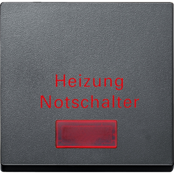 Merten Wippe System M anthrazit