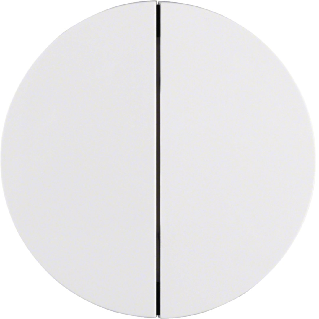 Berker 85142139 Taste 2-fach R.1 / R.3 polarweiß glänzend