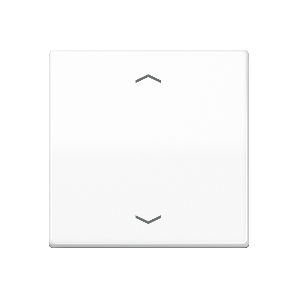 Jung AS1700PWW WW Steuertaste Standard
