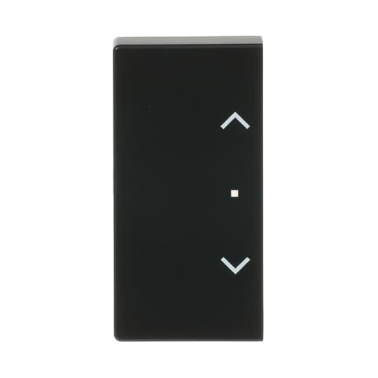 Busch-Jaeger Wippe 2-fach links/rechts, mit Symbol "Jalousie"