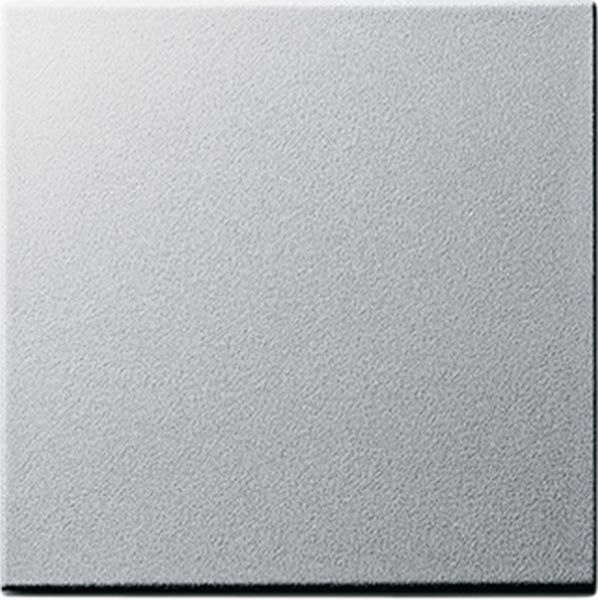 Gira Zentralstück System 55 aluminium