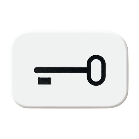 Busch-Jaeger Tastersymbol Schlüssel