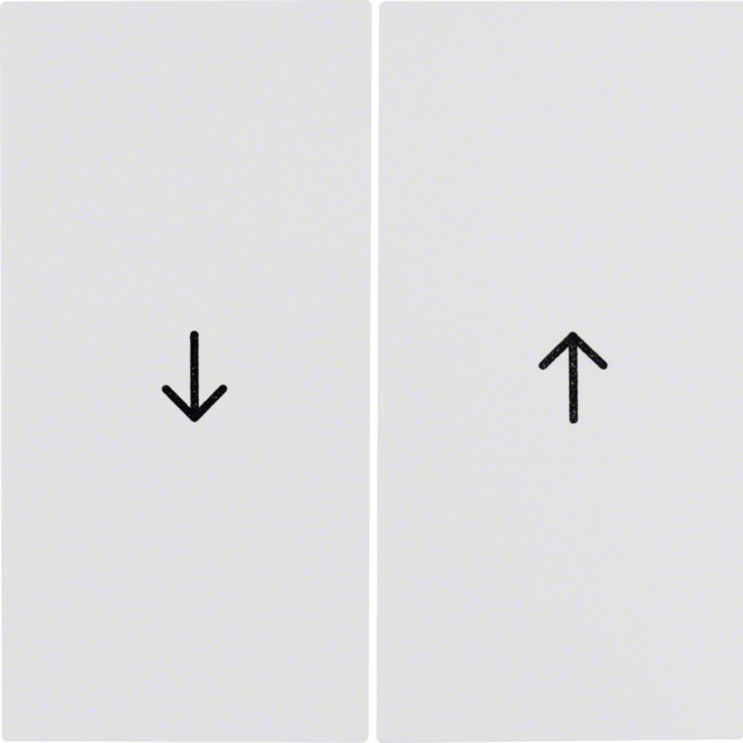 Berker 16258989 Wippe 2-fach mit Aufdruck Symbol Pfeil S.1 / B.3 / B.7 polarweiß, glänzend