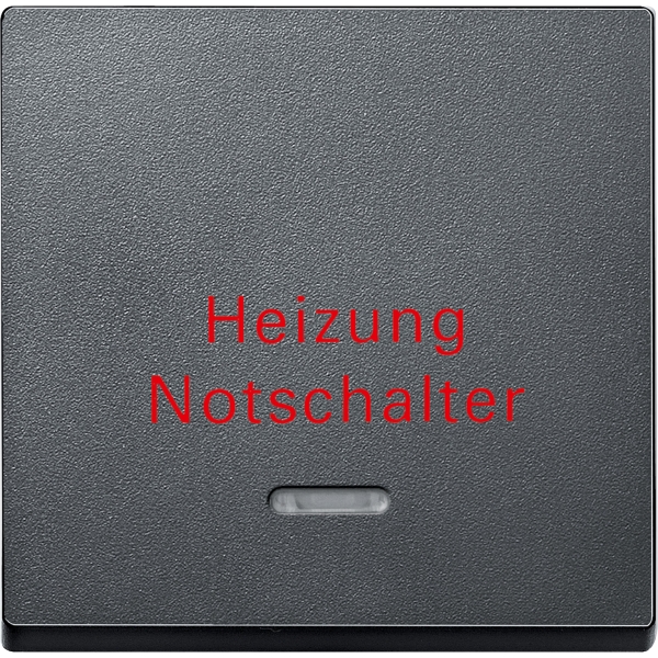 Merten Kontrollwippe mit Sichtfenster System M anthrazit
