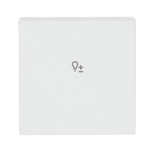 Busch-Jaeger Wippe 1-fach, mit Symbol "Dimmer"