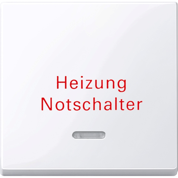 Merten Kontrollwippe mit Sichtfenster System M aktivweiß glänzend