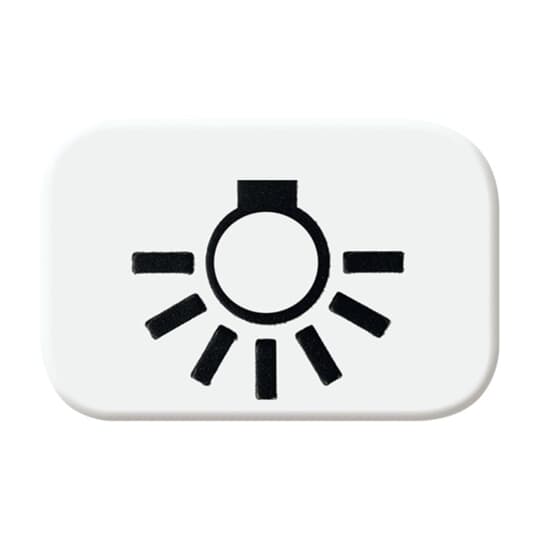 Busch-Jaeger Tastersymbol Licht