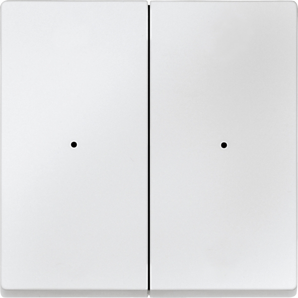 Merten Wippe für Tastermodul 2-fach System M polarweiß matt