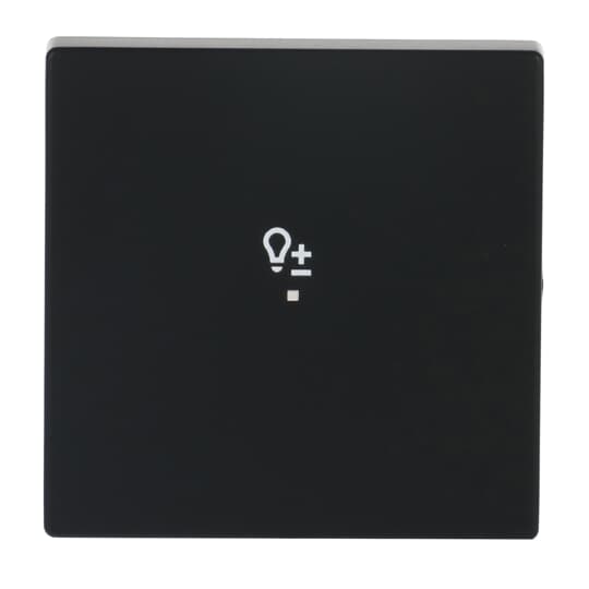 Busch-Jaeger Wippe 1-fach, mit Symbol "Dimmer"