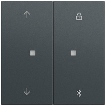 Gira Jalousie System 55 anthrazit lackiert