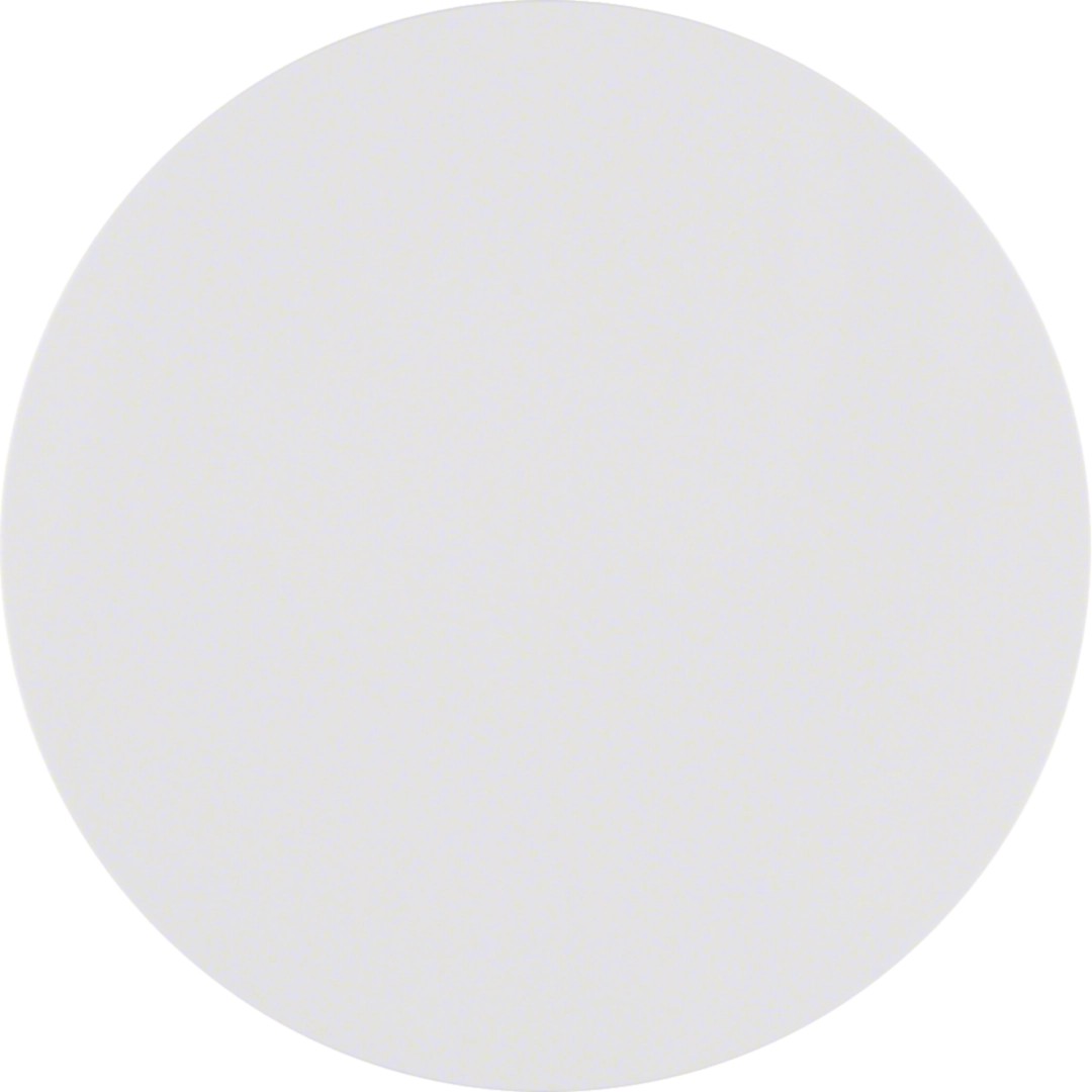 Berker 85141139 Taste 1-fach R.1 / R.3 polarweiß glänzend