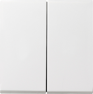 Gira Wippe Seriensch. rws-gl System 55