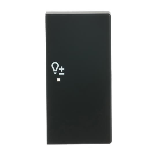 Busch-Jaeger Wippe 2-fach rechts, mit Symbol "Dimmer"