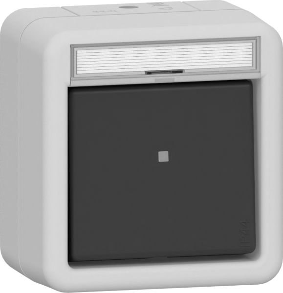 Gira Artikel System 55 grau