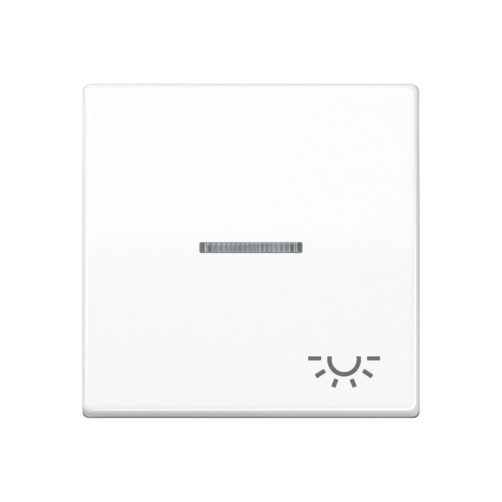 Jung AS591KO5LWW WW Wippe m.Symbol Licht
