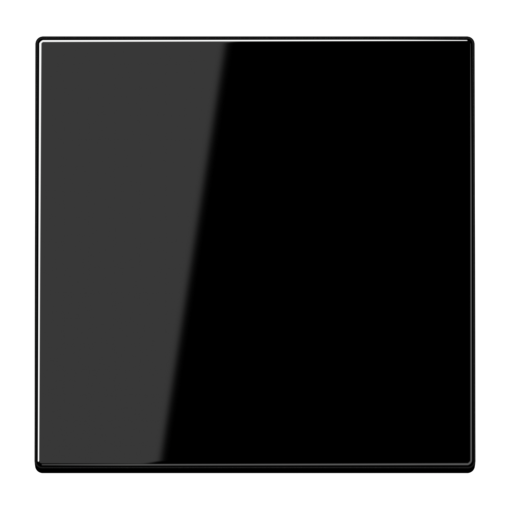 Jung Jung LS 990 SW Wippe schwarz
