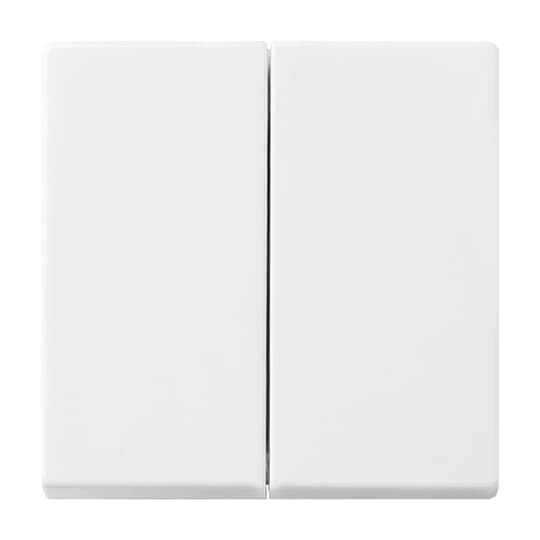 Wippe SerienschalterBusch-balance® SI