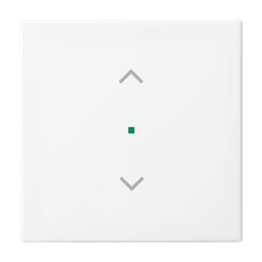 Wippe 1-fach, mit Symbol "Jalousie" Busch-balance® SI
