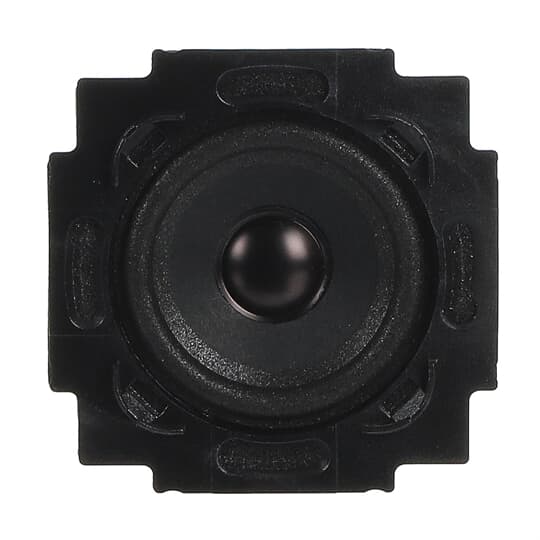 Busch-Jaeger Lautsprecher-Einsatz 5 cm (2")