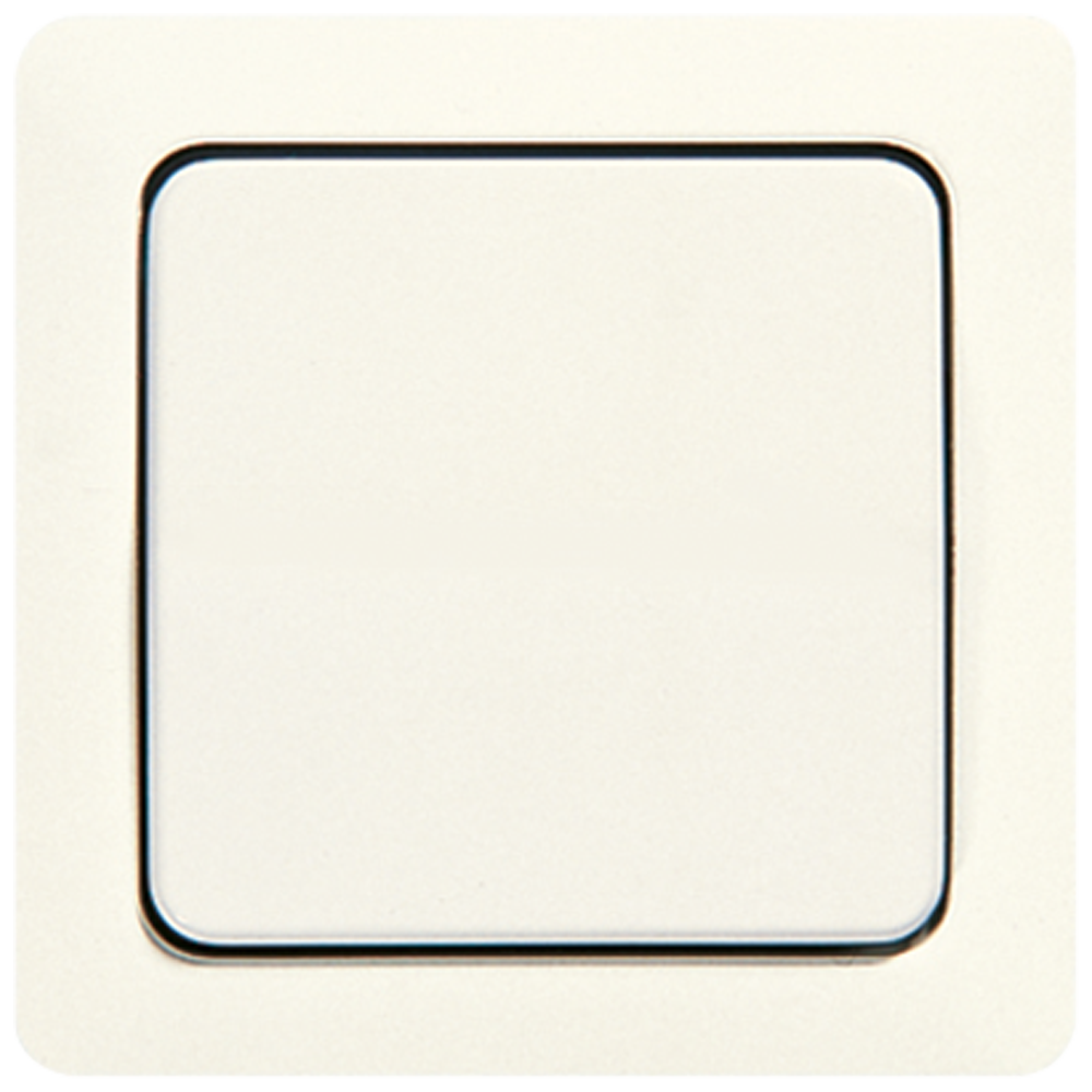 Jung 5561L Licht