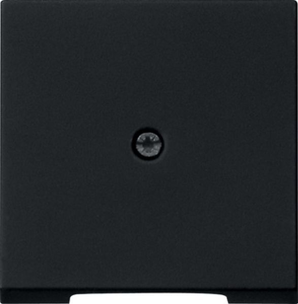 Gira Zentralstück System 55 schwarz matt
