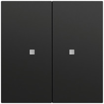 Gira Taster System 55 schwarz matt lackiert