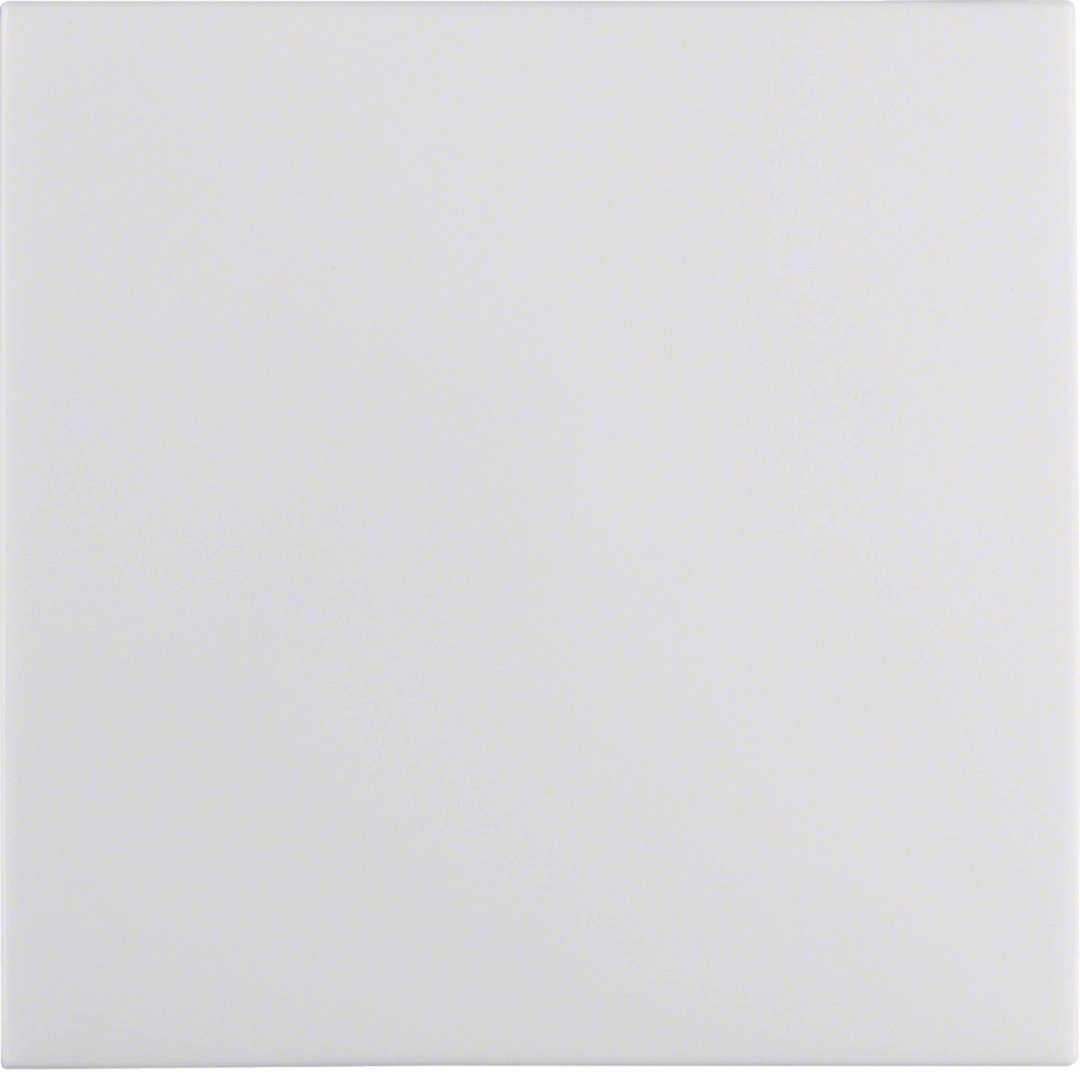 Berker 16298989 Wippe mit Befestigungsstück S.1 IP44 polarweiß glänzend