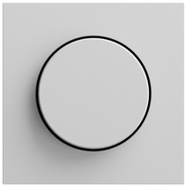 Gira Dimmer System 55 grau lackiert
