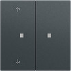 Gira Taster System 55 anthrazit lackiert